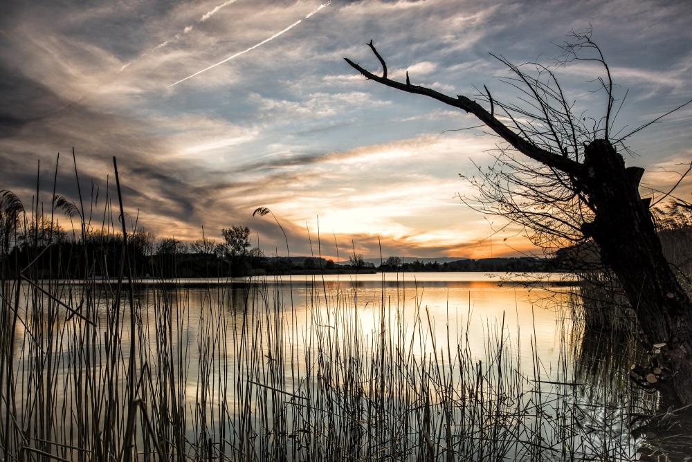 lake-1412216.jpg